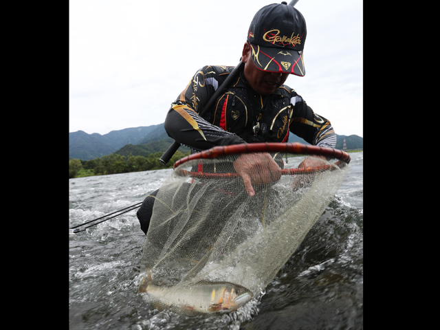 大鮎を求めて～激釣ロマン九頭竜～高速瀬釣りロッド【がま鮎 パワー