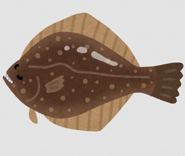 ヒラメのさばき方ガイド特集 美味しく仕上げるためのチェックポイントは7つ