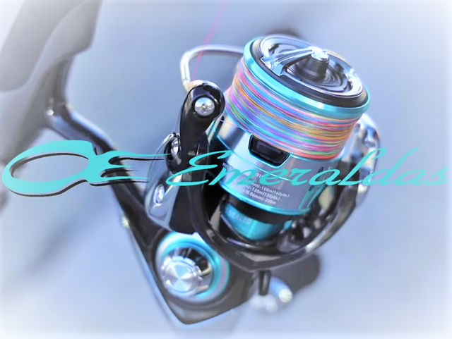 Daiwa エメラルダス スピニングリール - リール