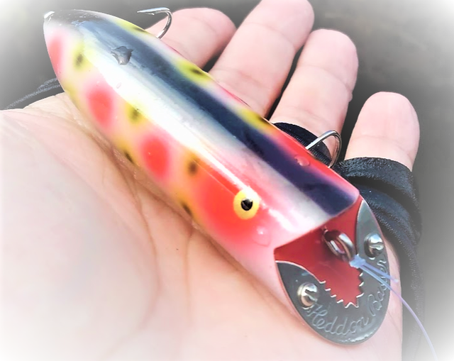 バサースプークの実釣インプレ特集 どうやって使えばいいの