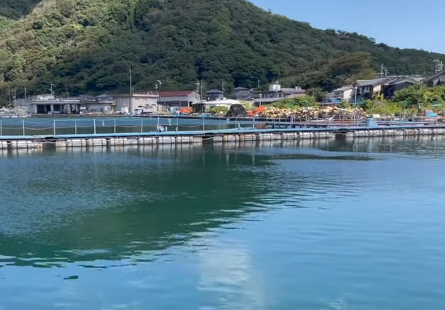 福井県の釣り堀特集 ひるが海上釣り堀ってどんなところ