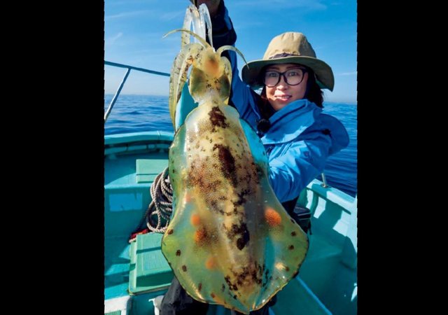 釣行の写真