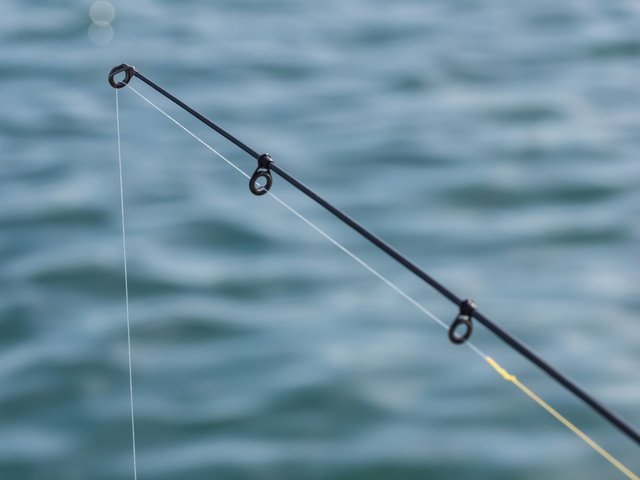釣り竿とラインの写真