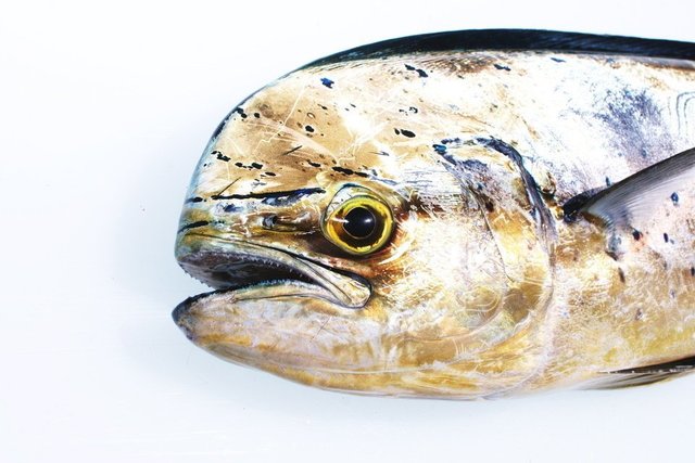 ハワイアンのマヒマヒって実は日本のあのお魚だった その意外な由来や語源とは