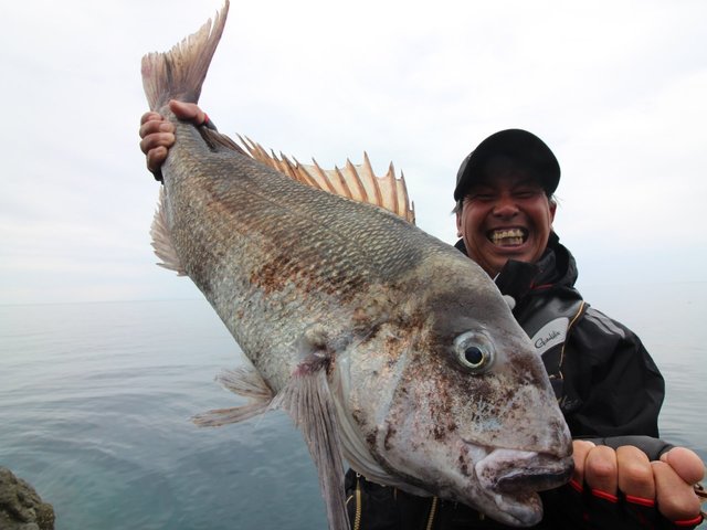 がまかつ がまかつ釣具セット ふかせ釣り 磯釣り