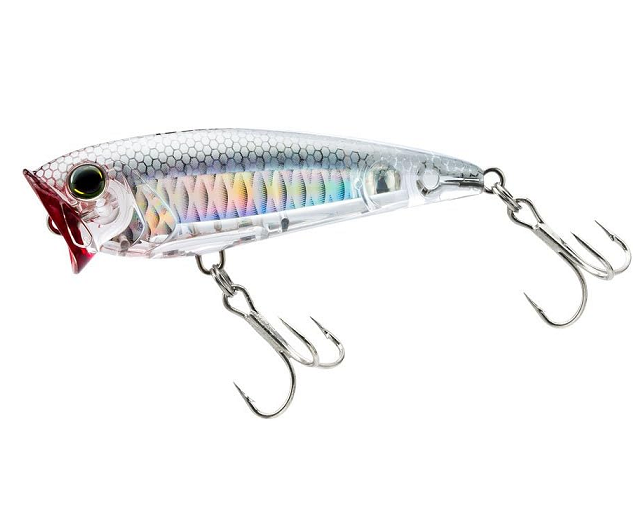 ダイワ　チニングＸ　76Ｌ　スピニング　2ピース ダイワ チニングX 76L スピニング 2ピース 【公式通販】