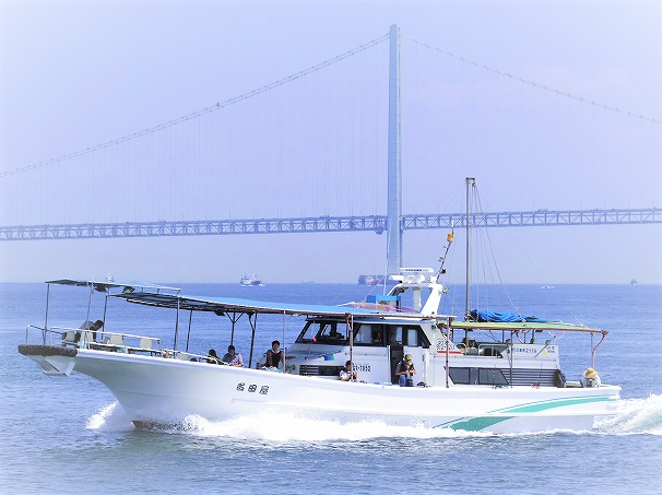 釣り船 名田屋で兵庫・明石沖のマダコ・タチウオを釣りたい！釣果+