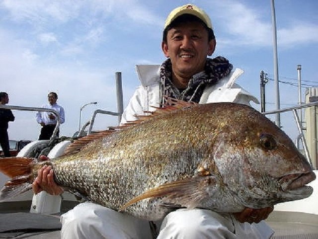 木鶏丸で10kg超えの大鯛ゲット！凄まじい実績を持つ福岡の人気マダイ船