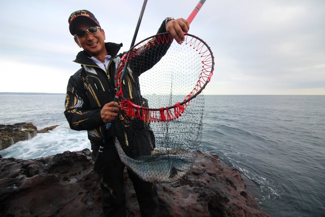 猪熊博之流五島グレの浅ダナ戦略。群がるエサ取りをかわし大型を狙う