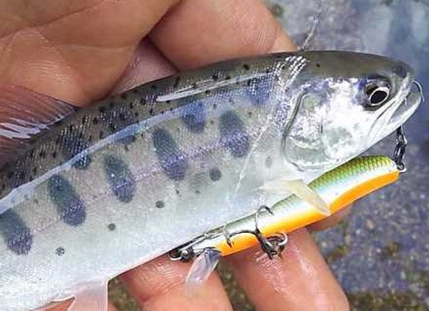 大きな橋.comオリジナル　自作トラウトロッド　渓流ベイトフィネス 大きな橋.comオリジナル 自作トラウトロッド 渓流ベイトフィネス