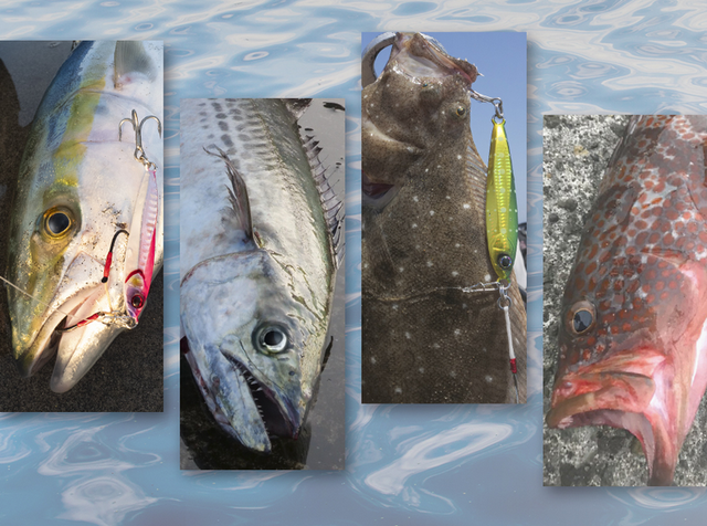 ドラッカーハイブリッド赤金タイプ6と赤金ジグ ビッグバッカージグに2024年追加カラーバリエーション登場！