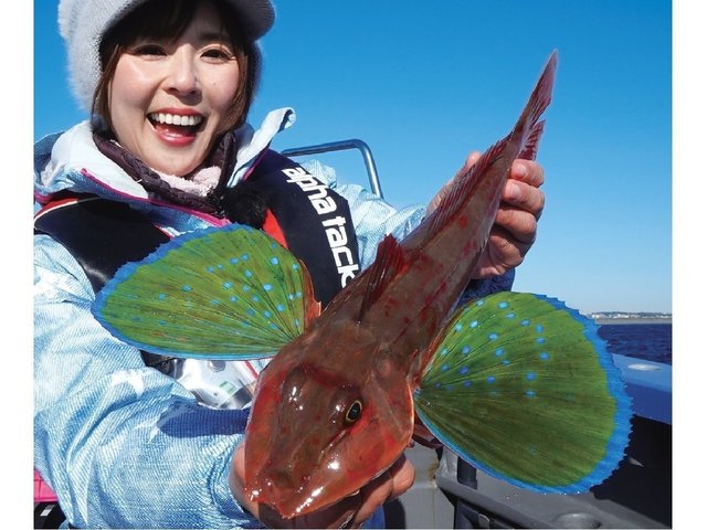 釣行の写真