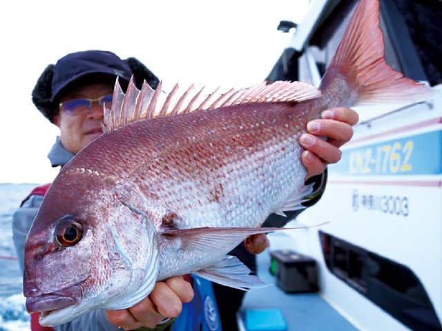 釣行の写真