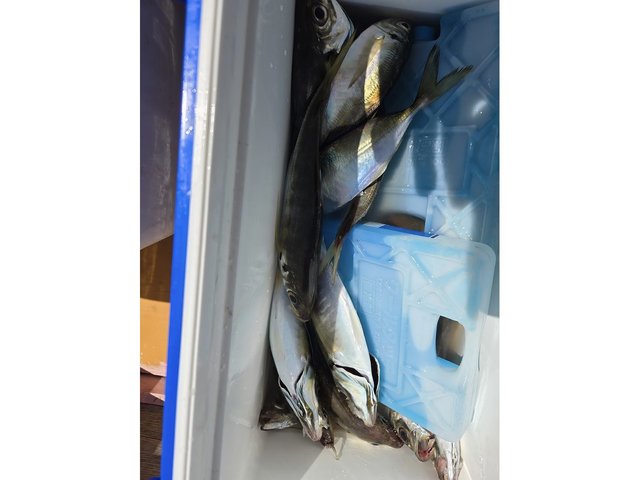 釣果