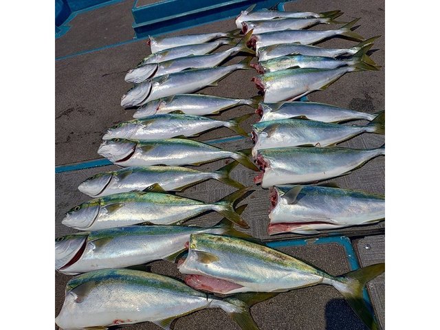 釣果