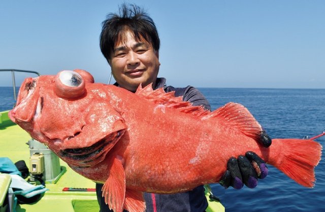 釣行の写真