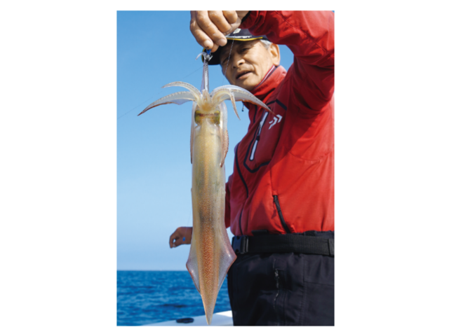 釣行の写真