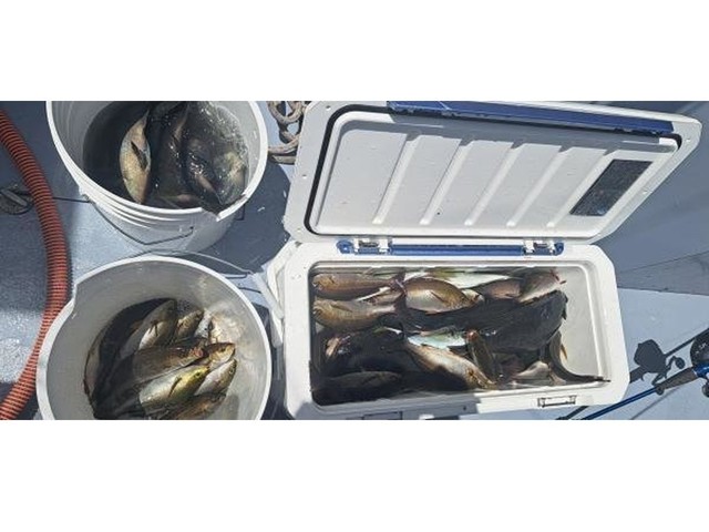 釣果