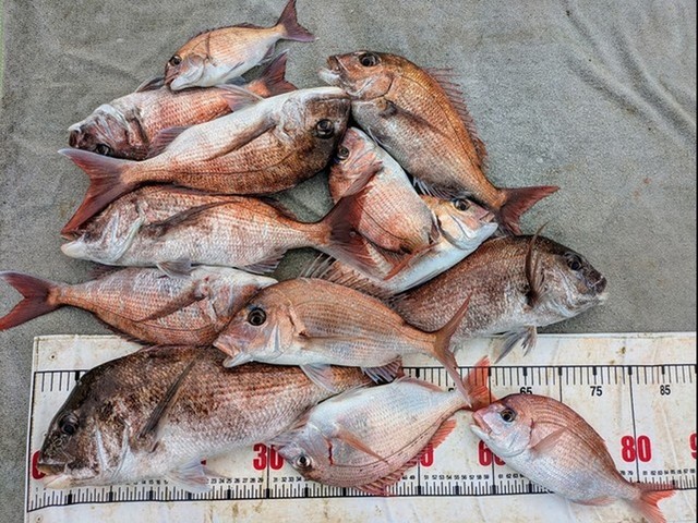 釣果