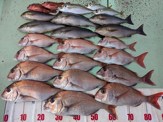 釣果