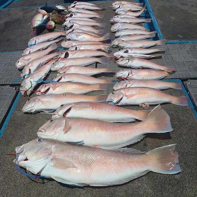 釣果