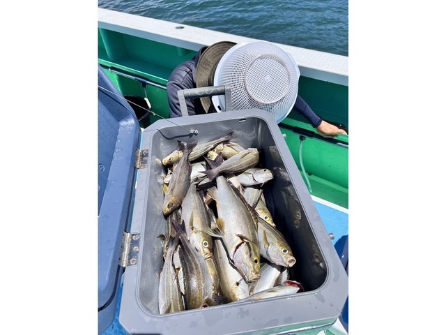釣果