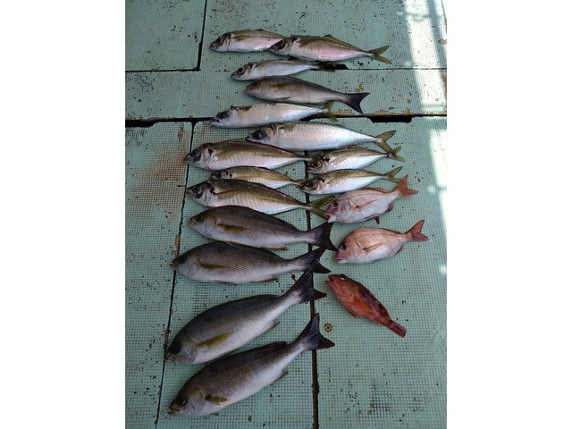 釣果