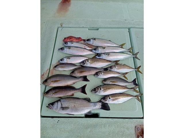釣果