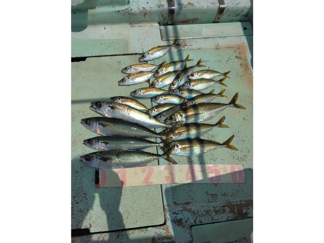 釣果