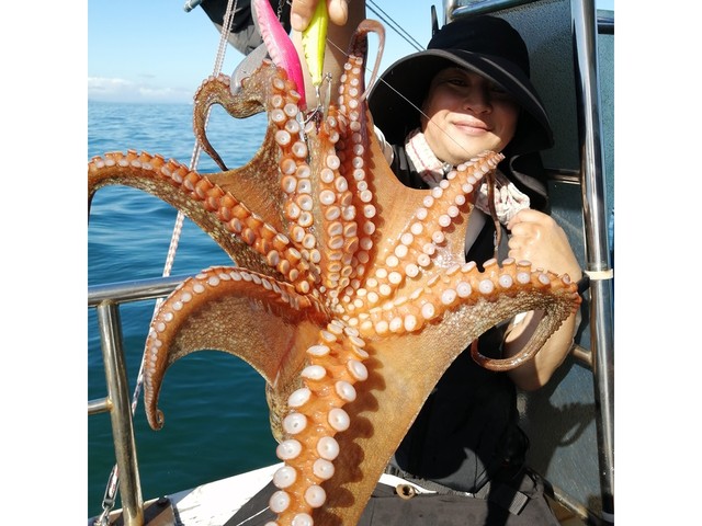 釣果