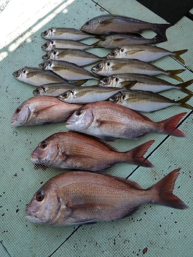 釣果