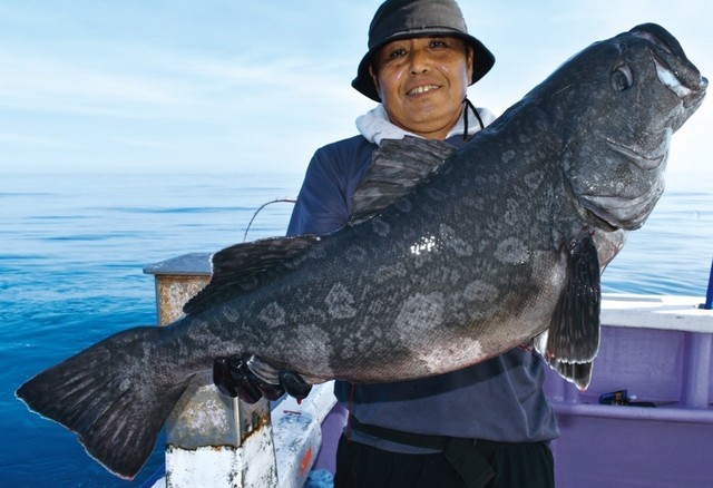釣行の写真