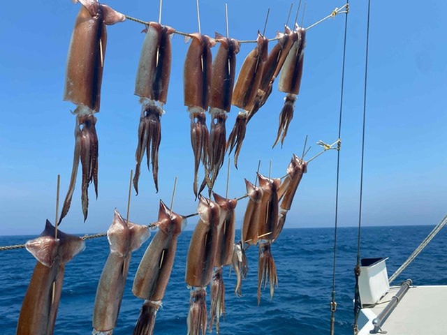釣果
