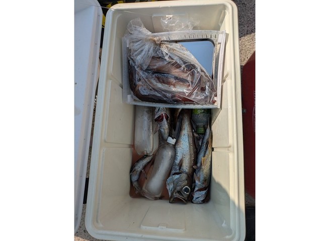 釣果