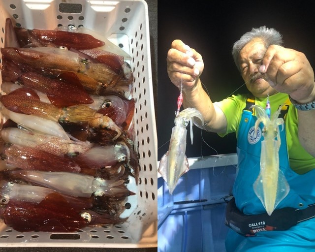 釣果