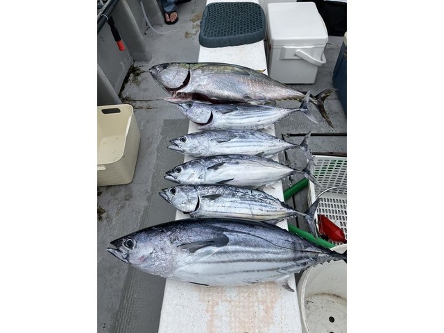 釣果