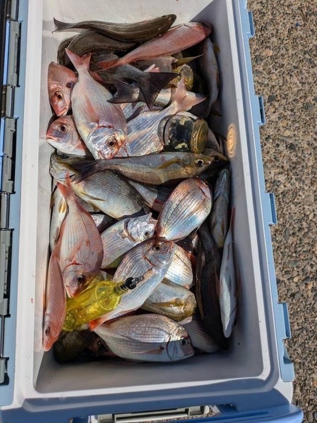 釣果
