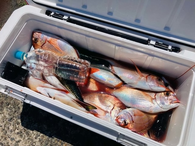 釣果