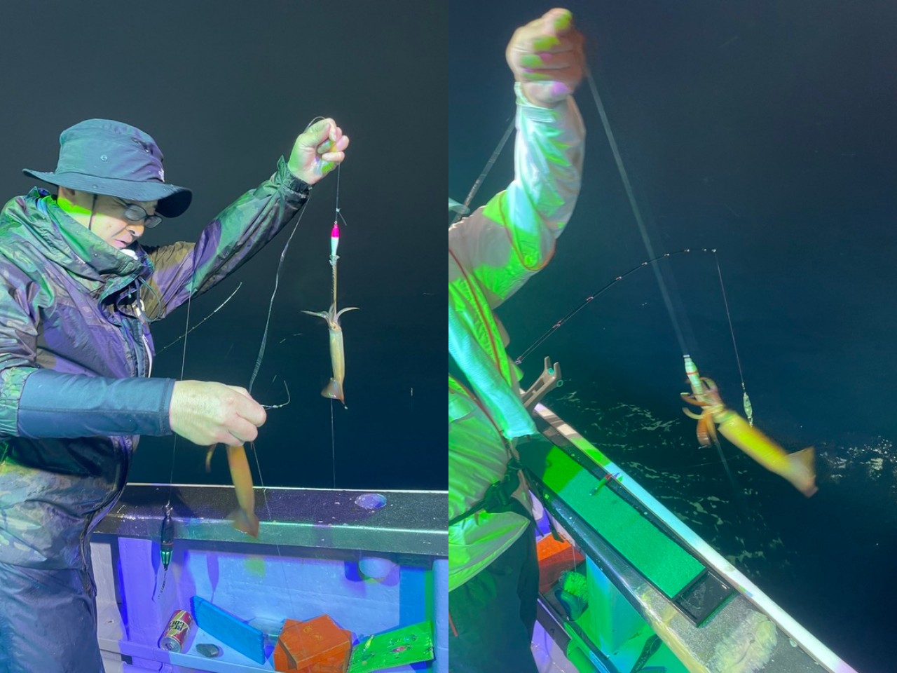 釣果