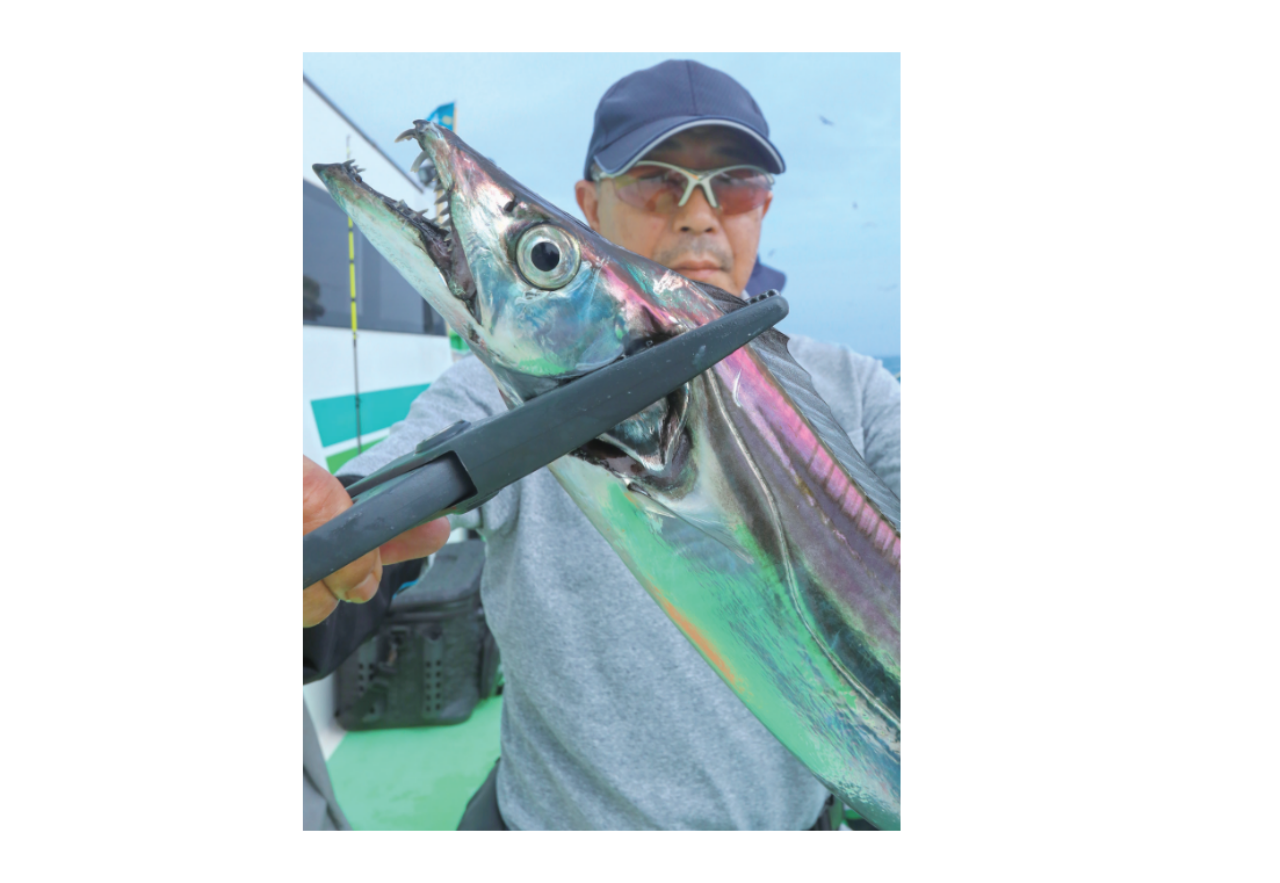 釣行の写真