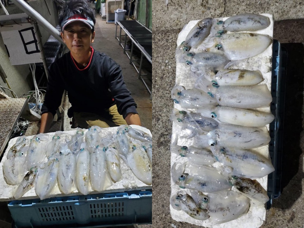 釣果