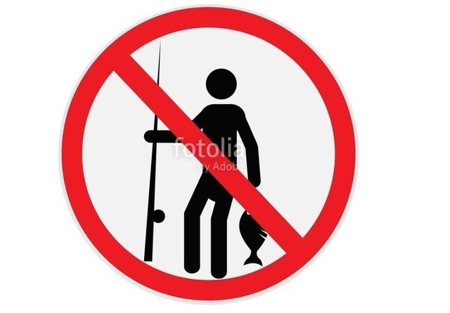 規定サイズ以下の稚魚を持って帰るのはng リリース対象魚をちゃんと把握していますか 動画