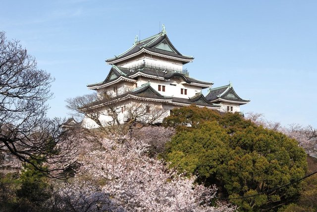 紀州釣りは心身の鍛練のために藩主が釣りをしたのが始まり 歴史とともにたどる紀州釣りの変化の軌跡とは