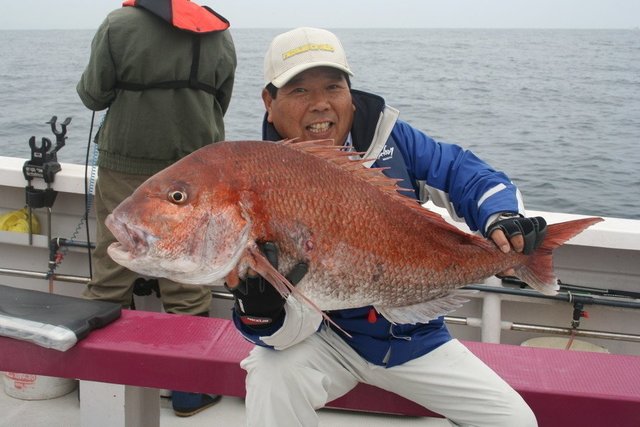 コマセマダイ釣りに挑戦しよう 置き竿で釣るときは長めの竿が向いている 必要な道具をとにかく詳しく徹底解説します