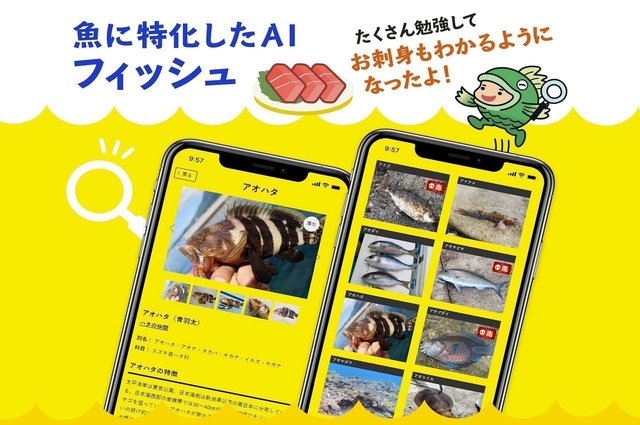 無料 魚図鑑aiアプリ フィッシュ アップデート情報 お刺身も判別が可能になったよ