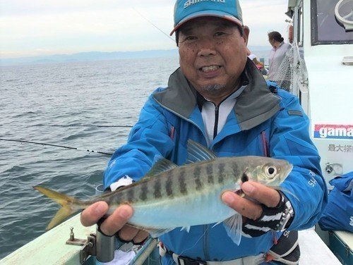 アジの種類は150種類もあるの 日本各地でブランドアジが続々登場 代表的なアジの種類の見分け方から釣り方までプロが徹底解説します