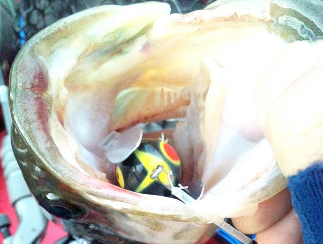 ブラックバスルアーの選び方 最新作が最強ルアーなの