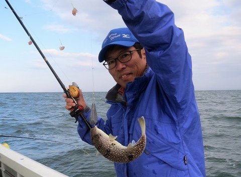 フグのカットウ釣りで貴重な食用フグをゲットしよう ショウサイフグも毒性あり 安全に調理して絶品フグ料理を味わおう