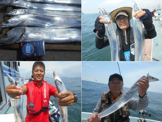 タチウオ爆釣 今がシーズンのタチウオを伊良湖水道で釣ってきました