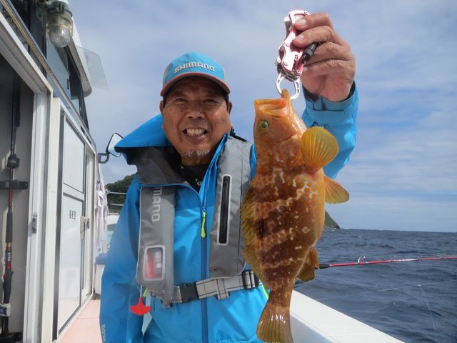 関西で人気の高級魚 アコウのスロージギングのタックルやノウハウやを徹底紹介